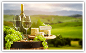 Visit Our Wineries