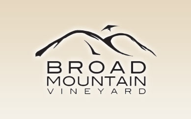 Broad Mountain Vineyard